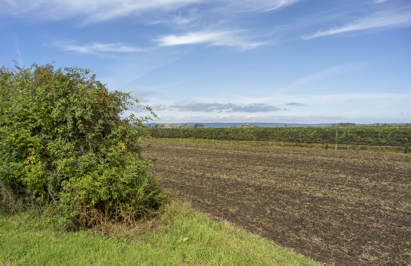 Land Grading