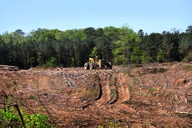 Ground Clearing in Atlanta, GA