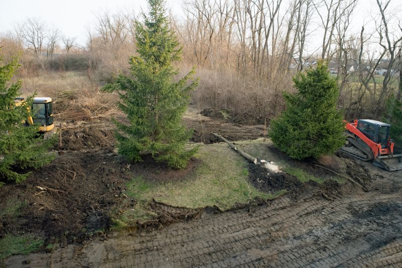 Undergrowth Removal in Katy, TX